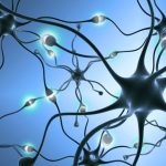 محققان انجمن ملی ام اس آمریکا، استراتژی هایی را برای حمایت از سلول های عصبی در ام اس پشرونده شناسایی کردند