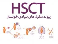 از مطالعات پیوند سلول های بنیادی خونساز در دنیای واقعی چه می توان یاد گرفت؟